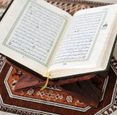 emolas eade Brnatur autes ditaut Oneqtures