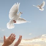 Czuwanie modlitewne – Hatfield – Zesłanie Ducha Świętego